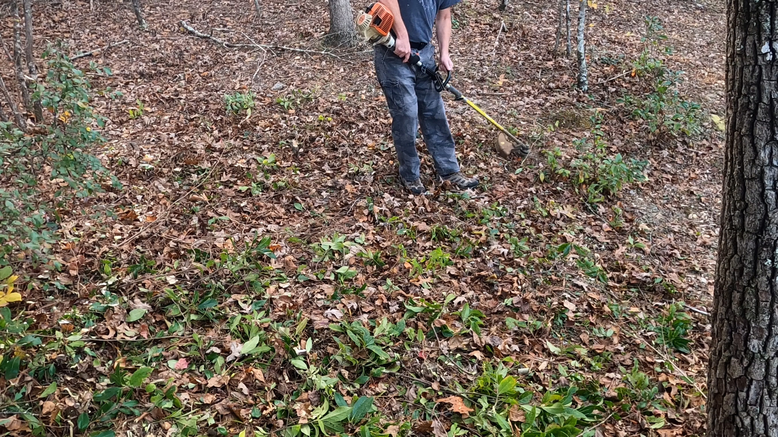 How to Swap a Stihl Trimmer Head and Stihl Brush Knife